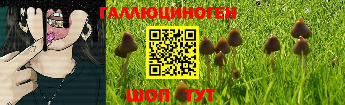 Галлюциногенные грибы Magic Shrooms  Вход с VPN  Мичуринск  Псилоцибиновые грибы мухоморы 